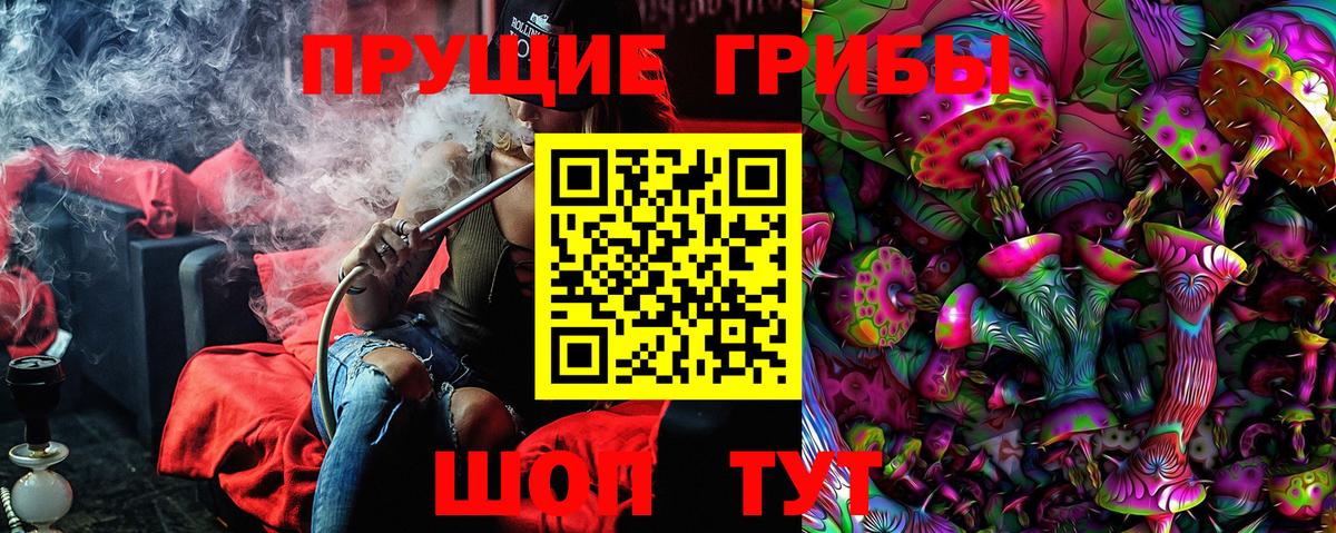 Псилоцибиновые грибы Psilocybine cubensis  Вход с VPN  Галлюциногенные грибы Psilocybine cubensis  Воронеж 