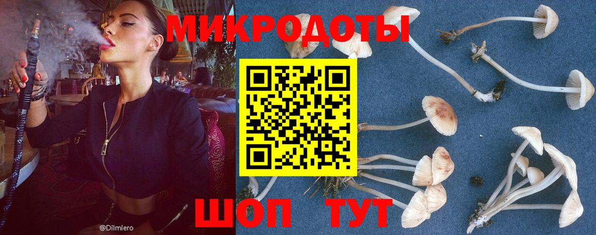 Псилоцибиновые грибы мицелий Воронеж